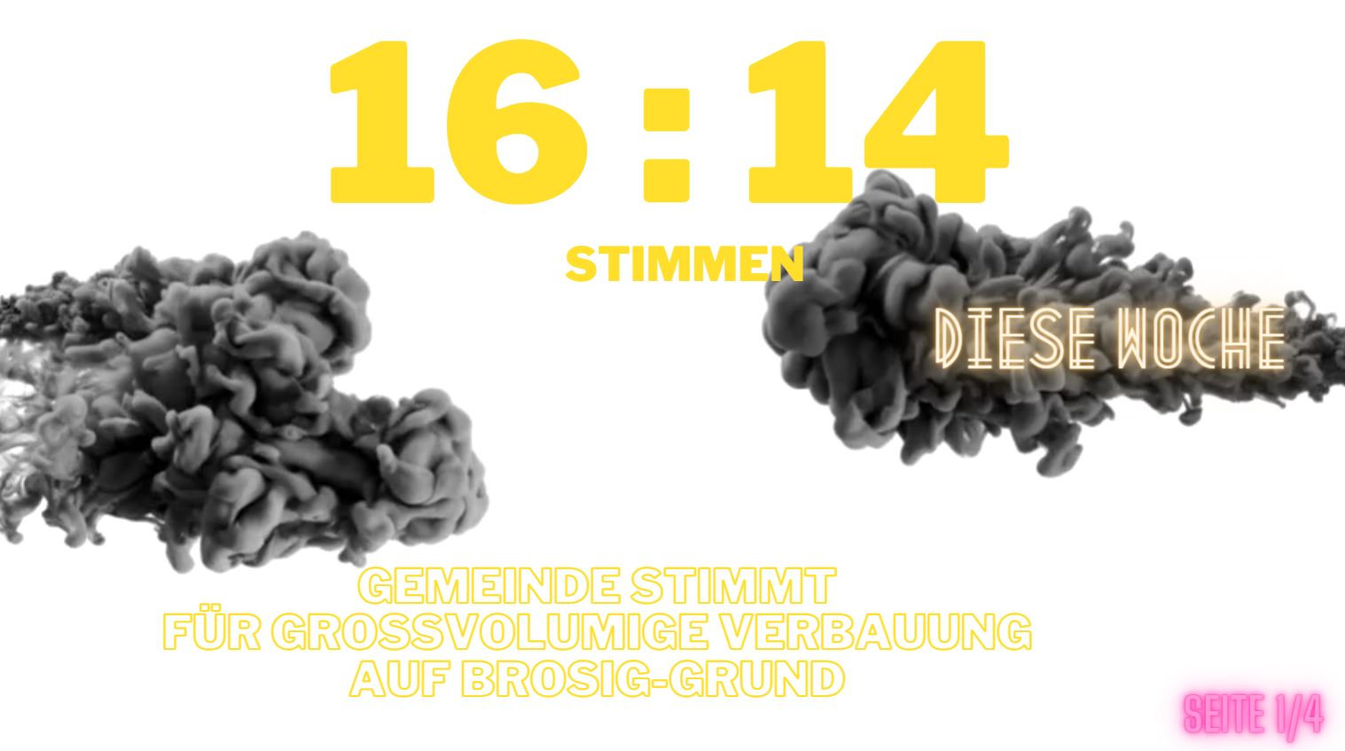 220702_Screenprint_-_16.14_Abstimmung_für_mehr_als_6_WE_.JPG